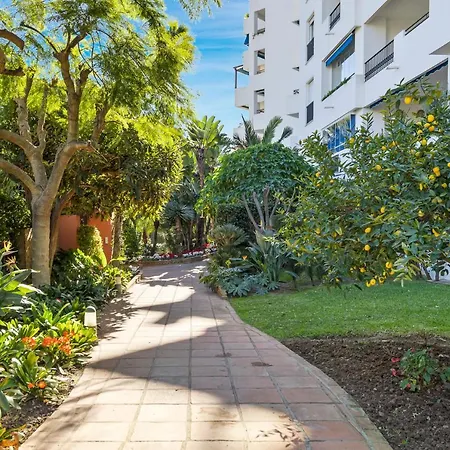 Estudio En Medina Garden